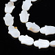 Natural Freshwater Shell Beads Strands(SHEL-S278-02-A01)-3