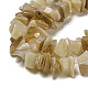Natural Yellow Shell Beads Strands(SSHEL-H072-05)-3