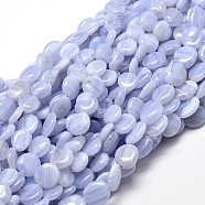 Natural Blue Lace Agate Gemstone Nuggets Bead Strands, Tumbled Stone, 9~12x8~13x5~7mm, Hole: 1mm, about 15.3 inch~15.7 inch(X-G-J336-22)