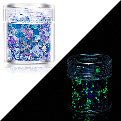 Luminous Nail Art Glitter Powder, Starry Sky Effect, Shiny Nail Decoration, Glow in the Dark, Dodger Blue, 1~3mm(LUMI-PW0004-034I)