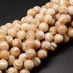 Natural Sea Shell Beads Strands, Round, Light Salmon, 12mm, Hole: 1mm, about 33pcs/strand, 15.75 inch(SSHEL-K013-12mm-B)