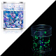 Luminous Nail Art Glitter Powder(LUMI-PW0004-034I)-1