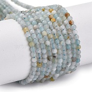 Natural Amazonite Beads Strands, Round, Faceted, 2.5mm, Hole: 0.5mm, about 165pcs/strand, 15.7 inch(40cm).(G-E351-10A-01)