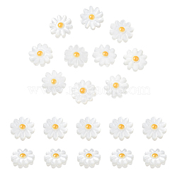 Nbeads 20Pcs Natural Freshwater Shell Beads, with Enamel, Flower, Gold, 8x4mm, Hole: 0.8mm(SHEL-NB0001-65A)