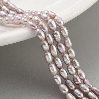 Natural Cultured Freshwater Pearl Beads Strands, Rice, Grade 6A, Thistle, 2.5~3mm, Hole: 0.3mm, about 40~41pcs/strand, 7.48''~7.68''(19~19.5cm)