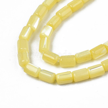 Chapelets de perles de coquille de trochid / trochus coquille(SHEL-N003-26-B10)-3