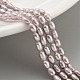 Natural Cultured Freshwater Pearl Beads Strands(PEAR-P062-02B)-2