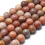 Natural Petrified Wood Round Beads Strands, 10.5mm, Hole: 1mm, about 38pcs/strand, 14.84''(37.7cm)~15.16''(38.5cm)(G-D356-C01-10mm)