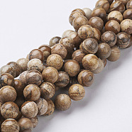 Natural Gemstone Beads Strands, Picture Jasper, Round, 12mm, Hole: 1mm, about 28pcs/strand, 15.5 inch(X-GSR12mmC016)