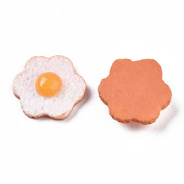 Resin Cabochons(CRES-T010-69)-2