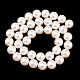 Electroplated Shell Pearl Beads Strands(BSHE-C011-01C)-2