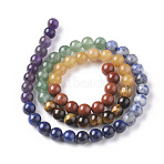 7 Chakra Theme Natural Red Rainbow Jasper & Yellow Aventurine & Tiger Eye & Green Aventurine & Blue Spot Stone & Lapis Lazuli & Amethyst Beads Strands, Round, Chakra, 6mm, Hole: 0.6mm, about 63pcs/strand, 15.75 inch(40cm)(G-F668-23-6mm)