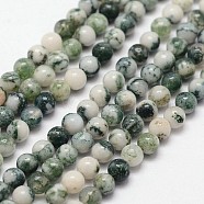 Natural Tree Agate Beads Strands, Round, 3mm, Hole: 0.5mm, 125pcs/strand, 15.7 inch(X-G-N0192-01-3mm)