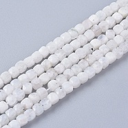 Natural Rainbow Moonstone Beads Strands, Faceted, Cube, 4x4x4mm, Hole: 0.8mm, about 97pcs/strand, 15.55 inch(39.5cm)(G-L537-005A)