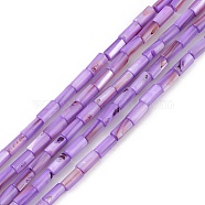 Natural Freshwater Shell Dyed Beads Strands, Column, Lilac, 8x4mm, Hole: 0.8mm, about 46pcs/strand, 14.96''(38cm)(SHEL-M018-11-08)