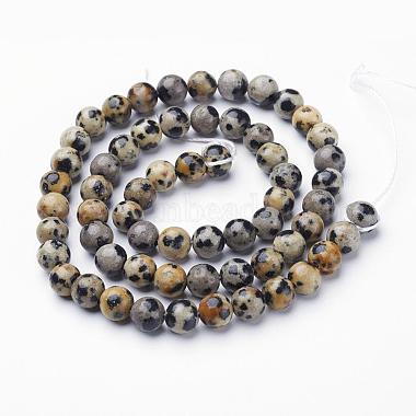 Natural Dalmatian Jasper Beads Strands(X-GSR6mmC004)-3
