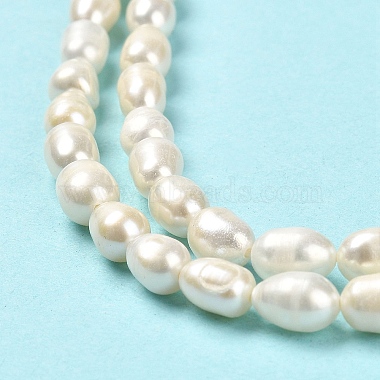 Natural Cultured Freshwater Pearl Beads Strands(PEAR-E016-169)-4