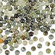 2 Strands Natural Prehnite Beads Strands, Round, Grade AB, 6mm, Hole: 1mm, about 67pcs/strand, 15.3 inch(39cm)(G-OC0004-73)