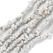 Natural Howlite Beads Strands, Chip, 1.5~4.5x3~13x2.5~8mm, Hole: 0.6mm, 30.94~31.97 inch(78.6~81.2cm)(G-G0003-B17)
