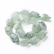 Natural Prehnite Beads Strands, Faceted, Polygon, 19~22x12~18mm, Hole: 1.5mm, about 16~17pcs/strand, 15.15 inch~16.14 inch(38.5~41cm)(G-P434-32)