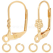 20Pcs 304 Stainless Steel Leverback Earring Findings, with Loops & 40Pcs Open Jump Rings, Real 18K Gold Plated, 19x10.5x5mm, Hole: 1.6~2mm(STAS-BBC0003-91)