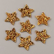 Star Hotfix Rhinestone, Resin Rhinestone, Costume Accessories, Sewing Craft Decoration, Light Topaz, 20~21x20~21x2mm(DIY-WH0308-224A)