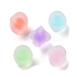 Transparent Acrylic Beads, Bead in Beads, Frosted, Mixed Color, 15x18.5x15mm, Hole: 2.7mm, about 223pcs/500g(OACR-A032-06)