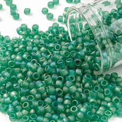TOHO Round Seed Beads, Japanese Seed Beads, (164BF) Transparent AB Frost Dark Peridot, 8/0, 3mm, Hole: 1mm, about 222pcs/bottle, 10g/bottle(SEED-JPTR08-0164BF)