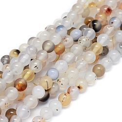 Natural Dendritic Agate Beads Strands, Round, 6~6.5mm, Hole: 0.8mm, about 63 pcs/Strand, 15.35 inch(39 cm)(G-D0005-18-6mm)