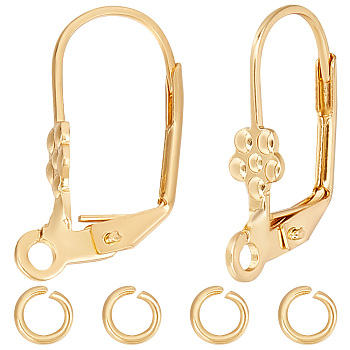 20Pcs 304 Stainless Steel Leverback Earring Findings, with Loops & 40Pcs Open Jump Rings, Real 18K Gold Plated, 19x10.5x5mm, Hole: 1.6~2mm