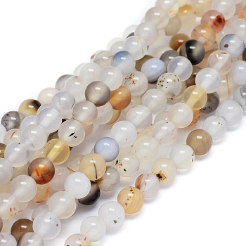 Natural Dendritic Agate Beads Strands, Round, 6~6.5mm, Hole: 0.8mm, about 63 pcs/Strand, 15.35 inch(39 cm)