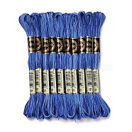 10 Skeins 6-Ply Polyester Embroidery Floss, Cross Stitch Threads, Segment Dyed, Steel Blue, 0.5mm, about 8.75 Yards(8m)/skein(OCOR-K006-A21)