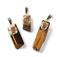 Natural Tiger Eye Big Pendants, with Golden Plated Brass Snap on Bails, Rectangle Charms, 20~74x8~14x6~16mm, Hole: 10x4mm(G-B066-01G-05)
