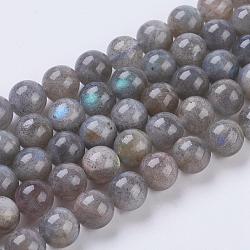 Natural Labradorite Beads Strands,  Round, 8mm, Hole: 1mm(G-G212-8mm-23)