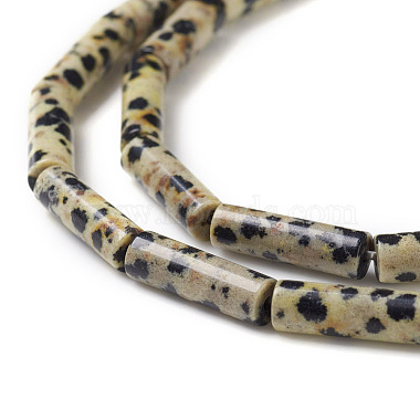 Natural Dalmatian Jasper Beads Strands(X-G-F247-21)-3