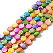 Dyed Natural Freshwater Shell Beads Strands, Flat Round, Colorful, 6x2mm, Hole: 0.5mm, about 62pcs/strand, 15.16 inch(38.5cm)(SHEL-G014-01)