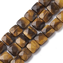 Natural Tiger Eye Beads Strands, Faceted Square, 10x10x5mm, Hole: 1.2mm, about 20pcs/strand, 7.95''(20.2cm)(G-K359-B15-01)