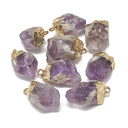 Electroplate Natural Amethyst Pendants, with Brass Findings, Nuggets, Golden, 22~40x14~30x11~22mm, Hole: 1.5mm(G-S336-37A)