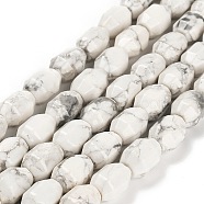 Natural Howlite Beads Strands, Faceted, Oval, 13.5~14.5x9~10.5mm, Hole: 0.7~0.8mm, about 28pcs/strand, 15.39~15.43 inch(39.1~39.2cm)(G-F781-A03-01)