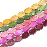Freshwater Shell Beads Strands, AB Color, Dyed, Oval, Mixed Color, 13~15x10~11x2~3mm, Hole: 1mm, about 26~28pcs/strand, 15.5 inch(SSHEL-T007-19)