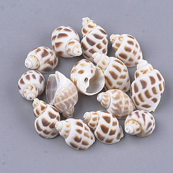 Spiral Shell Beads, Camel, 23~32x14~20x12~17mm, Hole: 0.6~1mm(X-SSHEL-S258-61)