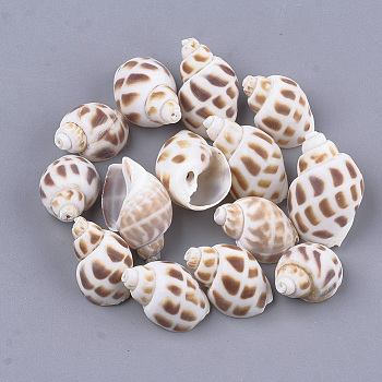 Spiral Shell Beads, Camel, 23~32x14~20x12~17mm, Hole: 0.6~1mm