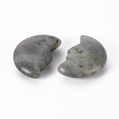 Natural Labradorite Beads(G-T132-030)-3
