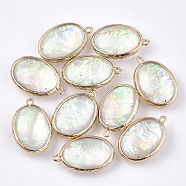 Resin Pendants, with Brass Findings, Oval, Golden, Colorful, 23x15x7mm, Hole: 1.2mm(X-RESI-S373-04)