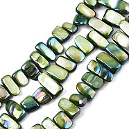 Natural Freshwater Shell Beads Strands, AB Color, Dyed, Nugget Stick, Dark Olive Green, 8~25x6~10x2~6mm, Hole: 0.5mm, about 46~49pcs/strand, 13.98 inch~14.56 inch(35.5~37cm)(SHEL-N026-123E)