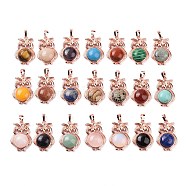 Natural & Synthetic Mixed Gemstone Pendants, Owl Charms, with Rose Gold Tone Rack Plating Brass Findings, 35x23.5x8~9mm, Hole: 8x5mm(G-H283-03RG)