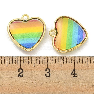 Rainbow Color Opaque Resin Charms(KK-M290-04B-G)-3