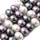 Shell Pearl Beads Strands(BSHE-F013-01K)-1