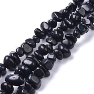 Natural Magnesite Beads Strands, Dyed, Chip, Black, 6~10x6~10x3~4mm, Hole: 0.5~0.7mm, 15.55''~16.54''(39.5~42cm)(TURQ-P001-02A-06)