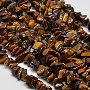 Chip Natural Tiger Eye Beads Strands, 5~8x5~8mm, Hole: 1mm, 34 inch(X-G-N0134-09)